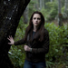 new-moon-movie-pictures-986