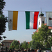 Pápai, magyar, város zászló