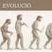 Evolúció