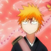 bleach ichigo0304