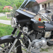 Harley Davidson (5)