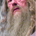 dumbledore [idoksoran] (2)