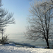A Duna egy fagyos februári reggelen