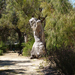 Yanchep National Park 20