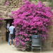 Güell park 5