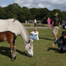 new forest picnic-79