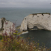 Old Harry-Swanage-62