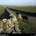 Inishmore Village, Aran Islands, Ireland, 1993