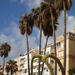 Costa del Sol - hatalmas pálmafák és hatalmas szállodák