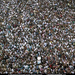 trichur-pooram-crowd-508657-sw (Medium)