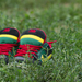 06 - Reggae cipők
