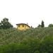 Toscana 0249