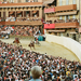 Palio 2007 Siennában