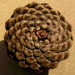 pinecone3