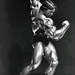 Arnold 085