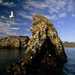 gull-island-alaska-91799-ga