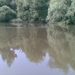 Tisza026