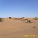 mauritania3