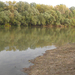 Tisza panoráma2