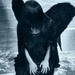 balck angel