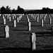 Német magyar katonai temető