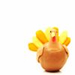 girlyb icons-turkeys034.png