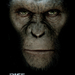 rise-of-the-apes (9)