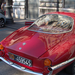 Album - Alfa Romeo Gulietta Sprintspecial Bertone