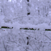 havas szilveszter 2007 011