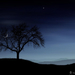 vladstudio tree and moon 1280x1024 121918