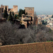 20100322 Granada 104 Alhambra