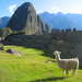 Machu-Picchu - 002a - (peterreynolds.wordpress.com)