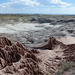 069Southwest Petrified Forest