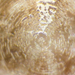 Masaru Emoto hado water foto No 15