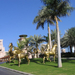 Al Qasr (4) 3 1