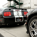 Shelby GT 500 - Shelby GT 500 combo
