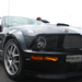 Shelby Mustang GT