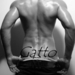 Gatto 4