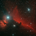 Lófej-köd az Orionban
