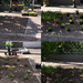 4-kiszemelt terület-növények elrendezése-ültetés-locsolás