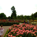 Rose Garden, Queen Mary's