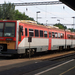 6341 036 -  Szeged (2009.08.10).