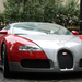 (7) Bugatti Veyron