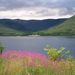 Loch Linnhe