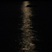 Moonlight on lake2