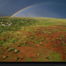 rainbow-western-australia-olson-763238-xl (Medium)