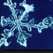 snowflake-close-up-161534-xl (Medium)