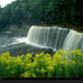 tahquamenon-falls-schermeister-389999-xl (Medium)