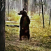 200906-omag-animal-video-dancing-bear-350x263 (Medium)