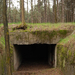 bunker of the forest